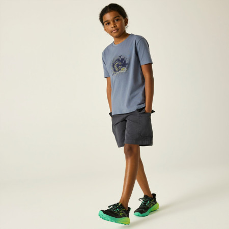 Детска тениска Dare 2b Trailbazer III Tee Mercury