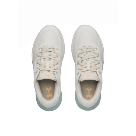 Дамски обувки за бягане Under Armour W Charged Bandit Tr 3