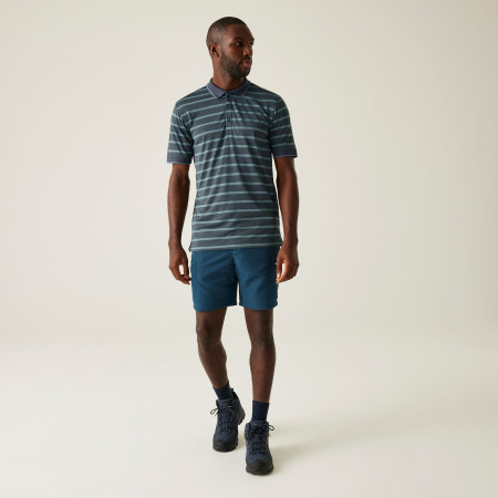 Мъжка тениска Regatta Kildra