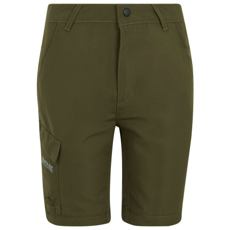 Детски панталони Regatta Sorcer Z/O Trousers III Treetop