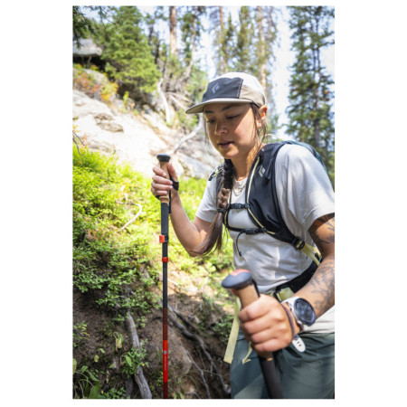 Туристически щеки Black Diamond Pursuit Carbon FLZ