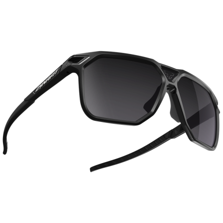 Слънчеви очила Dynafit Traverse Sunglasses