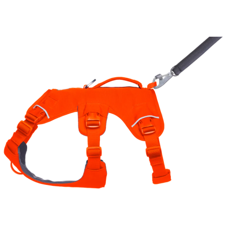 Нагръдник за куче Ruffwear Web Master™ Harness