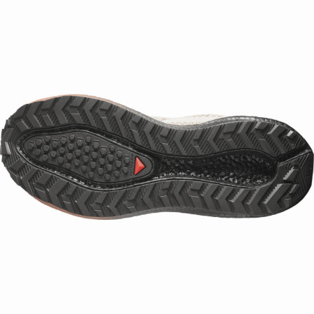 Дамски обувки за бягане Salomon Aero Blaze 4 Grvl GTX W
