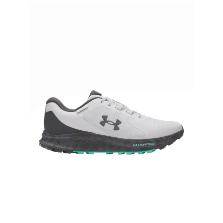 Мъжки обувки Under Armour Charged Bandit TR 3 SP