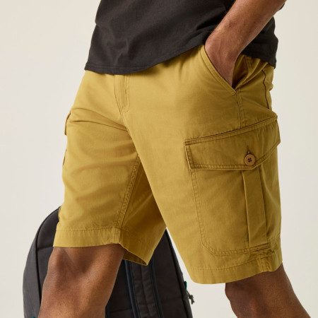 Мъжки къси панталони Regatta Ruwan Shorts