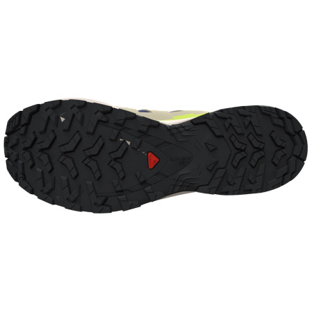 Мъжки обувки Salomon Xa Pro 3D V9