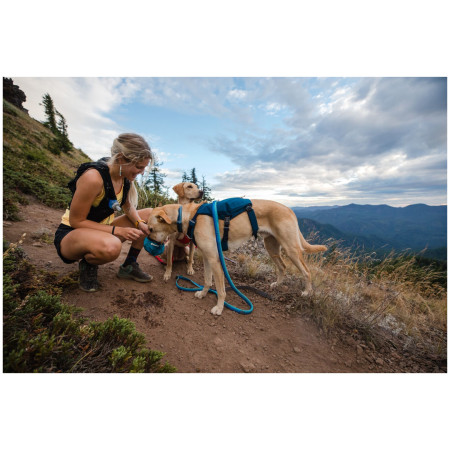 Нагръдник за куче Ruffwear Switchbak™ Harness