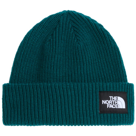Шапка The North Face Salty Lined Beanie