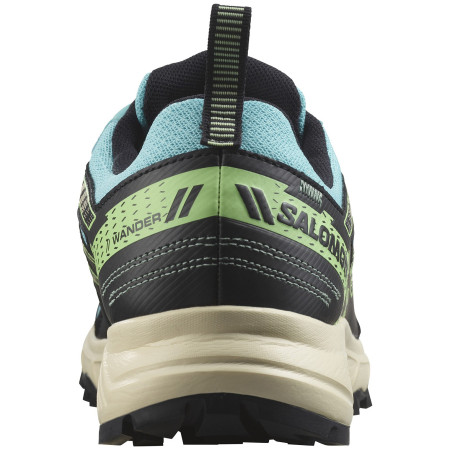 Дамски обувки за бягане Salomon Wander Gore-Tex