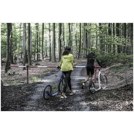 Тротинетка Yedoo Trexx