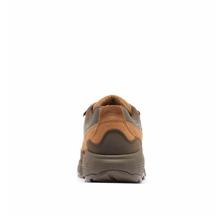 Мъжки обувки Columbia Newton Alpine™ Low