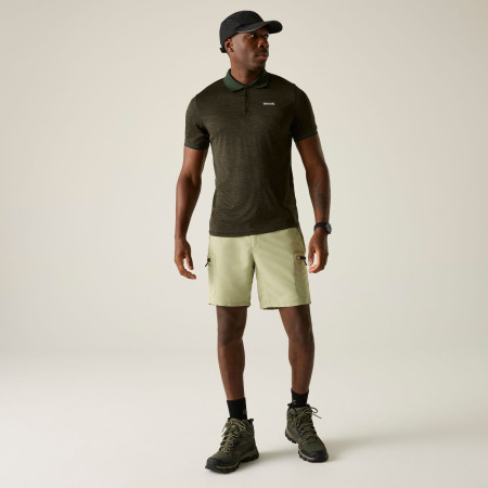 Мъжка тениска Regatta Remex II