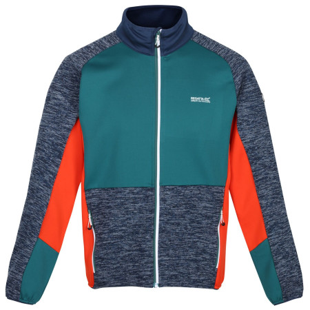 Мъжки суитшърт Regatta Coladane IV