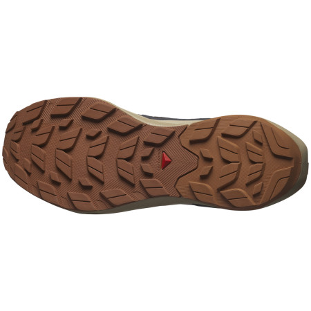 Мъжки трекинг обувки Salomon Elixir Activ Gore-Tex