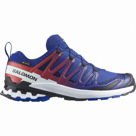 Мъжки обувки Salomon Xa Pro 3D V9 Gore-Tex Equipe