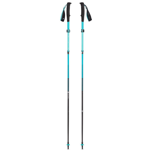 Дамски туристически щеки Black Diamond W Distance Carbon FLZ Poles сив