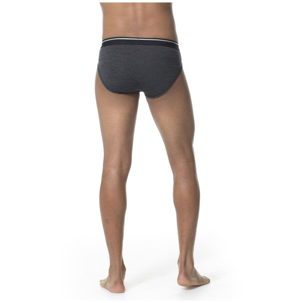 Мъжки слипове Icebreaker Mens Anatomica Briefs