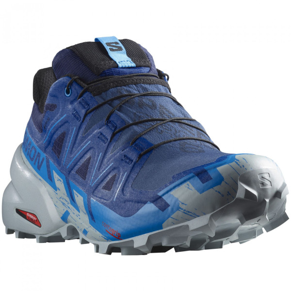 Мъжки обувки за бягане Salomon Speedcross 6 Gore-Tex