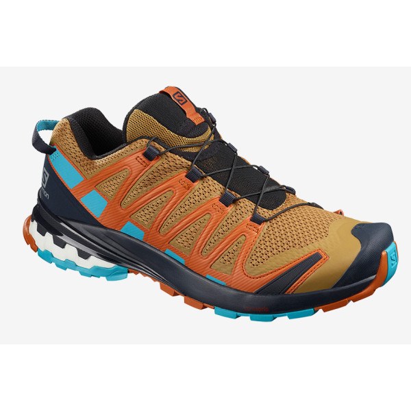 Мъжки обувки Salomon Xa Pro 3D V8 кафяв Bistre