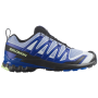 Мъжки обувки Salomon Xa Pro 3D V9 Icon