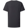 Мъжка тениска Haglöfs Outsiders Tee