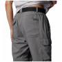 Мъжки панталони Columbia Silver Ridge™ Utility Convertible Pant
