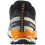 Мъжки обувки Salomon Xa Pro 3D V9