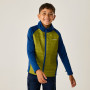 Детско яке Regatta Boys Trekktain 3-in-1 II AvBlu/GldCyp