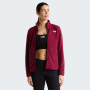 Дамски функционален суитшърт The North Face W Glacier Fleece Jacket