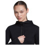 Дамски функционален суитшърт Icebreaker Women Merino Blend 200 RealFleece™ Descender LS Zip Hoodie