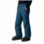 Мъжки зимни панталони Columbia Shafer Canyon™ II Pant