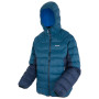 Мъжко яке Regatta Hooded Dalent
