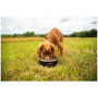 Купа за куче Mountain Paws Basecamp Dog Bowl