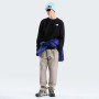 Мъжки суитшърт The North Face M Evolution Box Nse Regular Crew