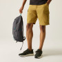 Мъжки къси панталони Regatta Ruwan Shorts