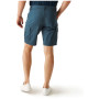 Мъжки къси панталони Regatta Ruwan Shorts