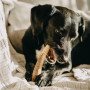 Играчка за куче Explorer Dog Antler Chew easy