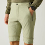 Мъжки панталони Regatta Mountain Z/O Trousers
