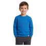 Детски суитшърт Lego Wear Lwsky 100 Boy