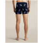 Мъжки функционални боксерки Icebreaker Men M 150 Anatomica Boxers BearTourAOP