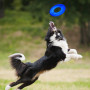 Играчка за куче Nerf Dog Translucent TPR Tire Flyer 25 cm