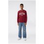 Детски суитшърт Champion Crewneck Sweatshirt B GMS