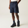 Мъжки къси панталони Regatta Mallen Shorts
