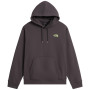 Мъжки суитшърт The North Face U Nse Slopes Relaxed Hoodie - Graphic сив ANTHRACITE GREY