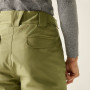 Мъжки панталони Dare 2b Baseplate Insulated Pant