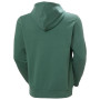 Мъжки суитшърт Helly Hansen Core Graphic Hoodie