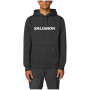 Мъжки суитшърт Salomon Logo Hoodie M