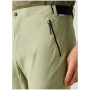 Мъжки панталони Regatta Mountain Z/O Trousers