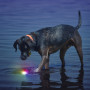 Играчка за куче Nite Ize Glowstreak LED Ball
